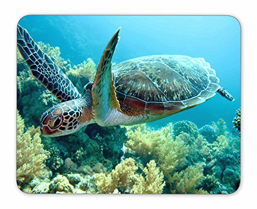 Mouse Mat for Gift Support Wired Wireless Or Bluetooth Mouse 3mm Thick Gaming Mouse Pad Underwater World Rectangle Rubber Mousepad 10 X 12 Inch X 0.12 Mouse Mat for Gift Support Wired Wireless Or Bluetooth Mouse 3mm Thick Gaming Mouse Pad Underwater World Rectangle Rubber Mousepad 10 X 12 Inch X 0.12